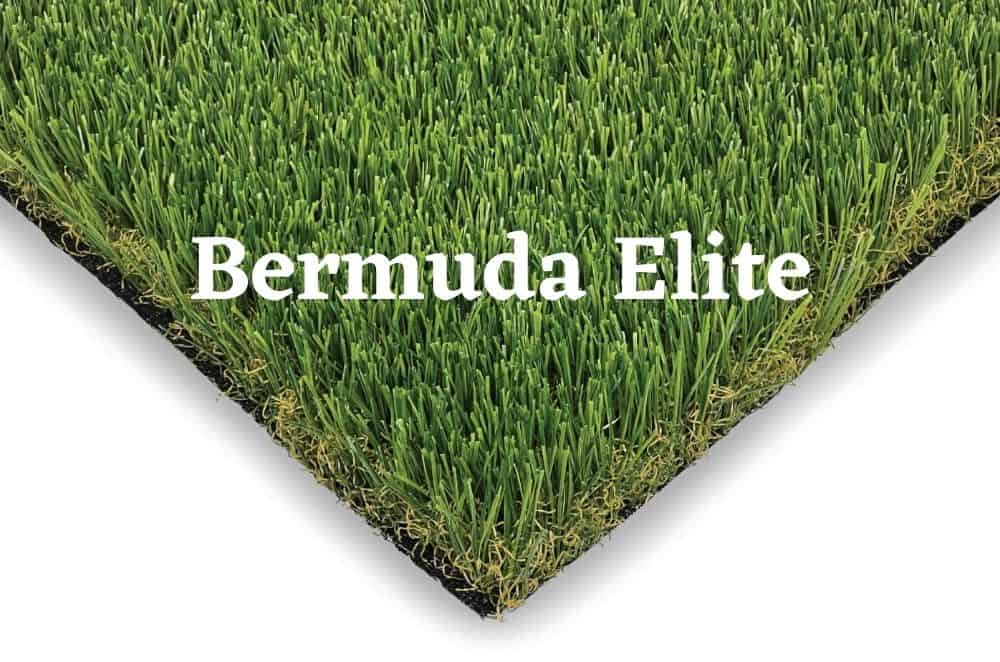 Bermuda Elite