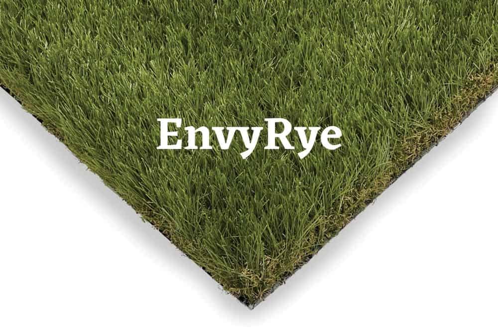 EnvyRye