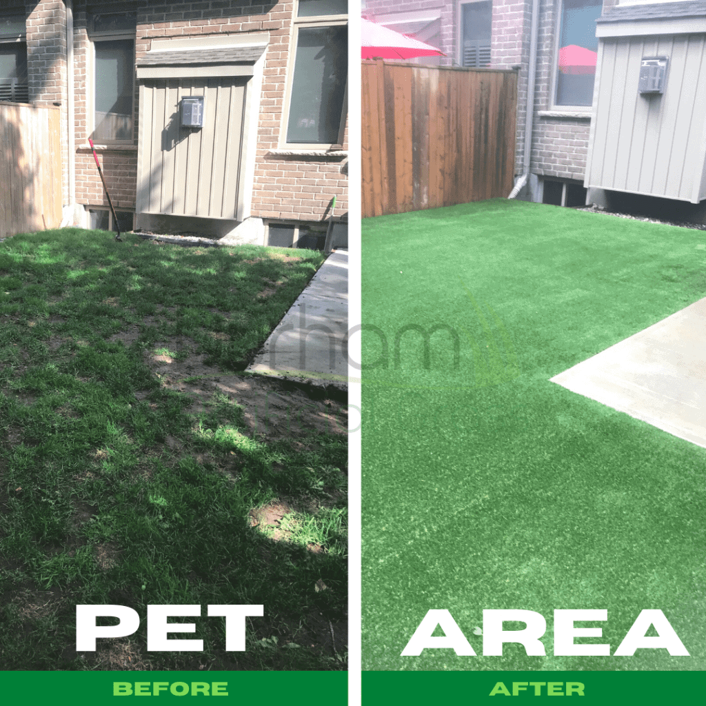 Before After Pet Area