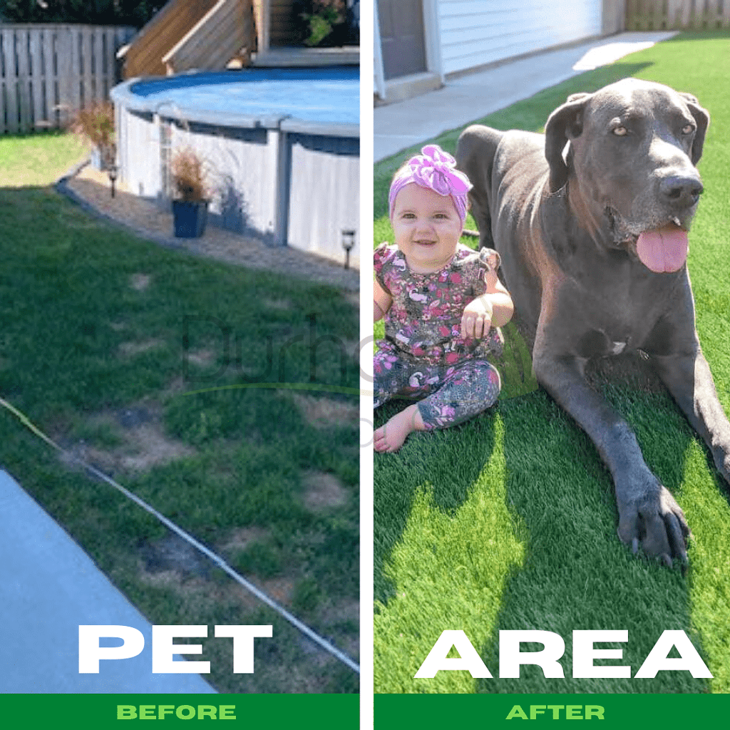 Before After Pet Area