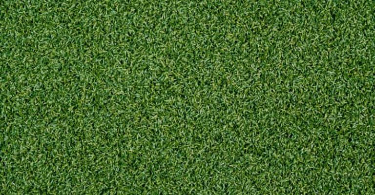 EnvyLawn_Duraplay Arena Pro - 5mm pad - Top Down